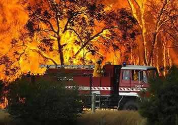 victorian bush fires