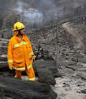 firefires fight the victoria bushfires